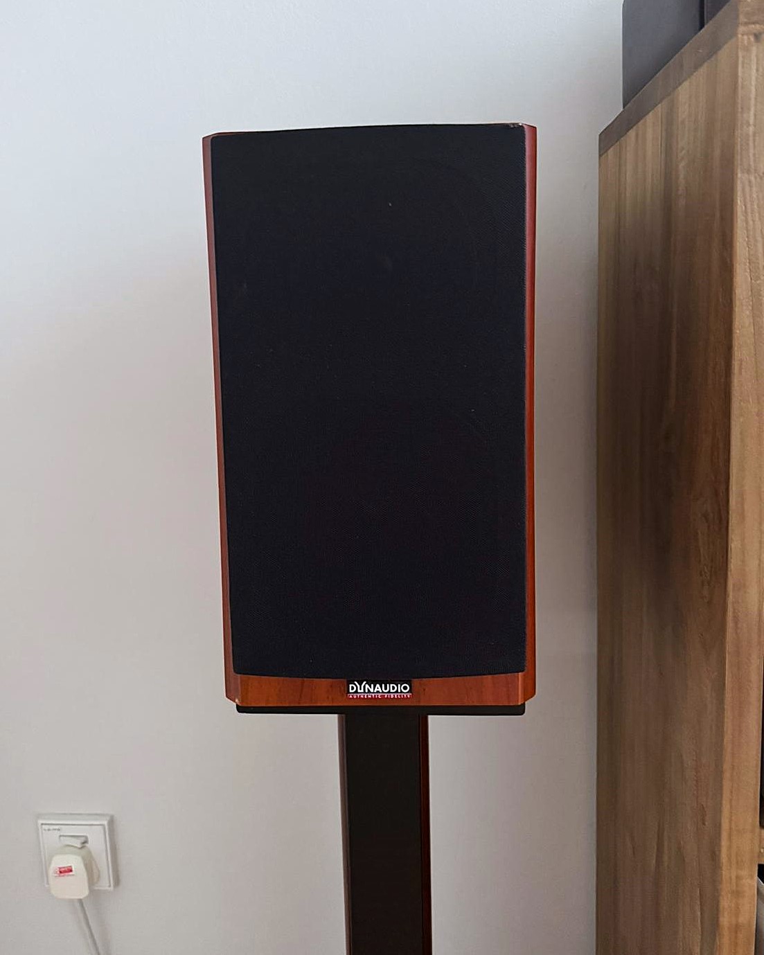 Dynaudio Focus 110 with stands