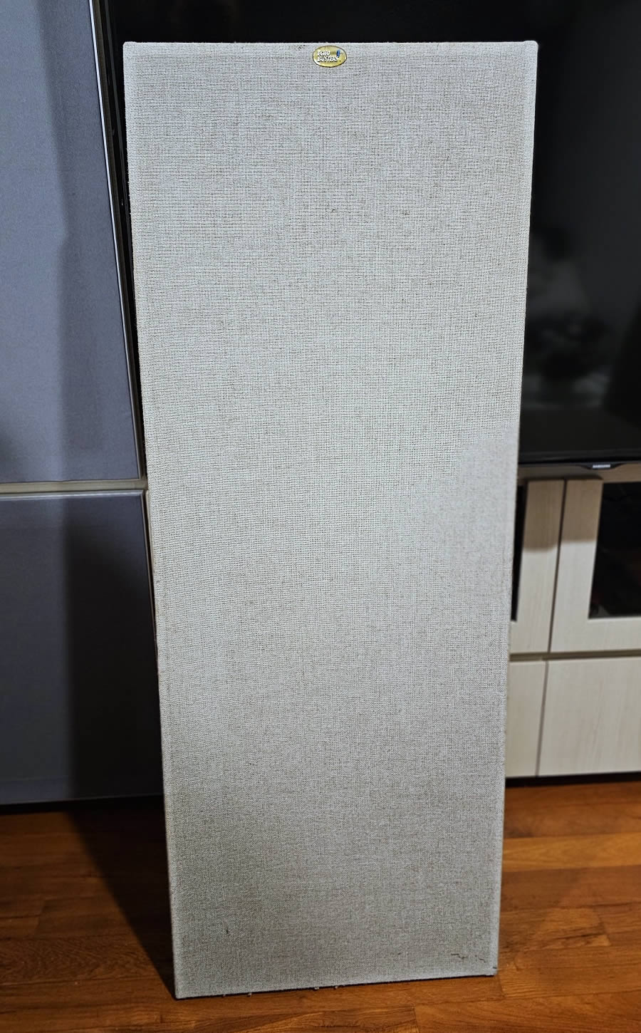 Echo Busters Double Buster acoustic panels