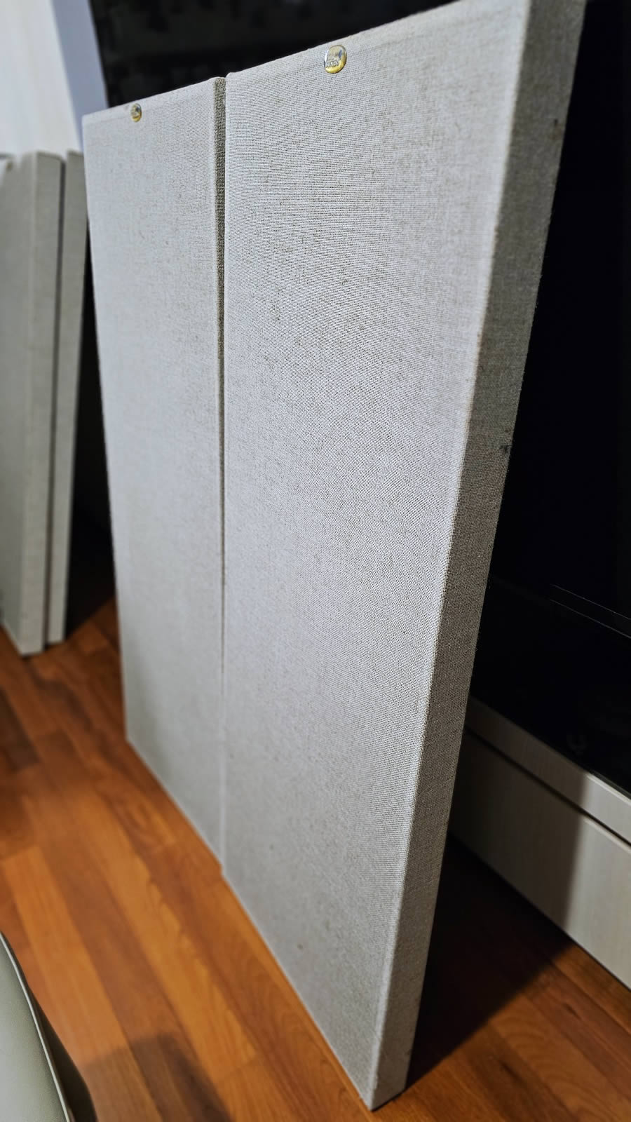 Echo Busters Double Buster acoustic panels