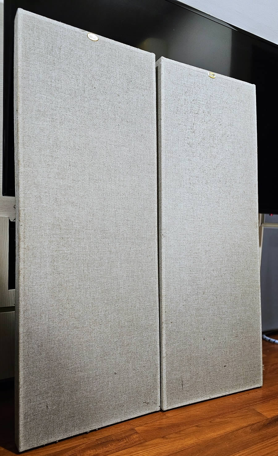 Echo Busters Double Buster acoustic panels