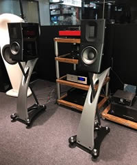 Raidho D1.1 with matching stands 